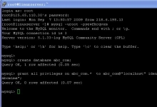 linux里创建mysql数据库